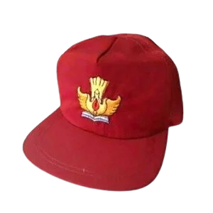 Topi